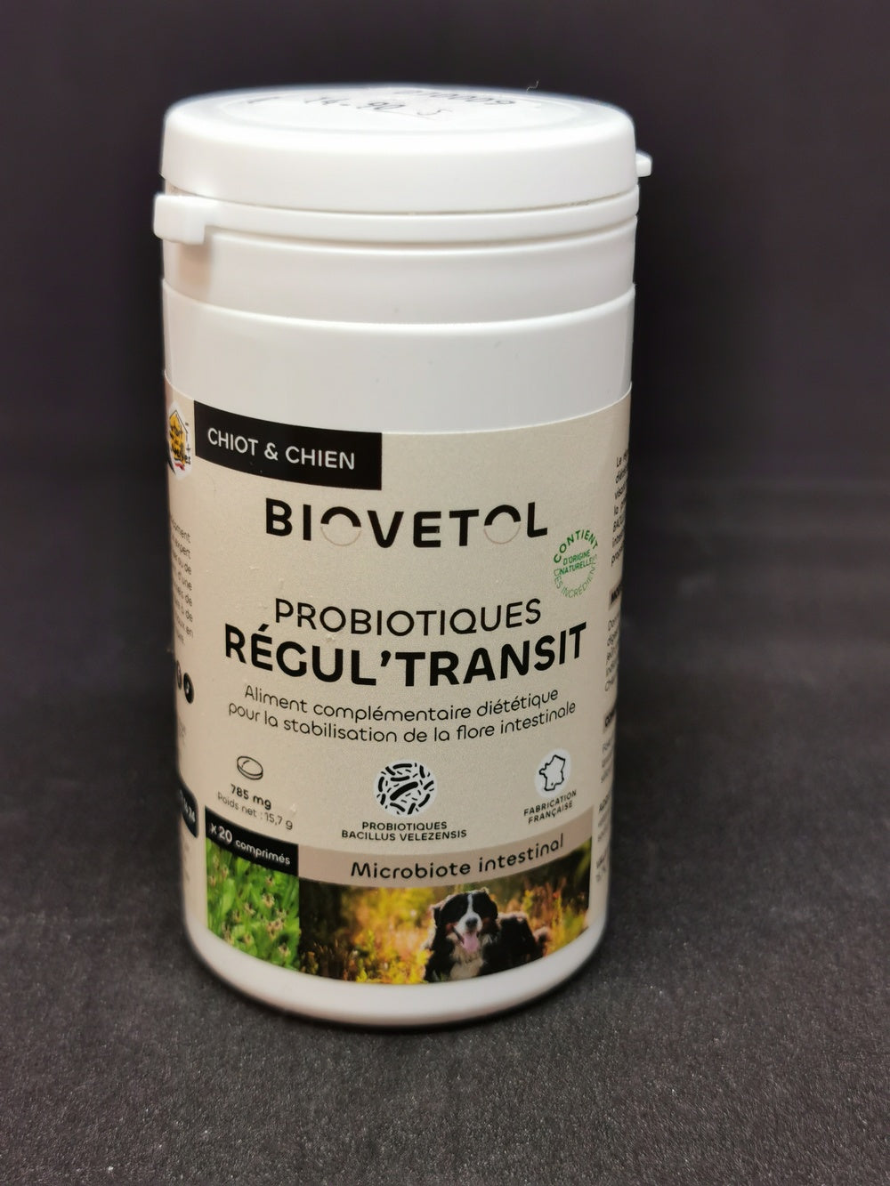 Comprimés Regul'Transit Chiot / Chien Bio