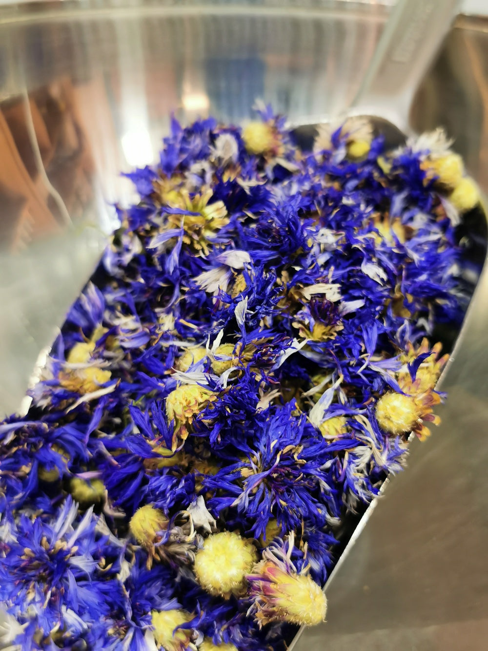 Bleuet BIO