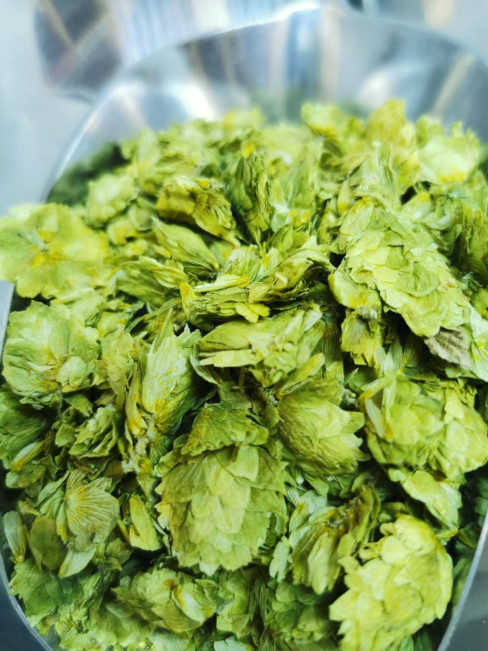 Houblon BIO