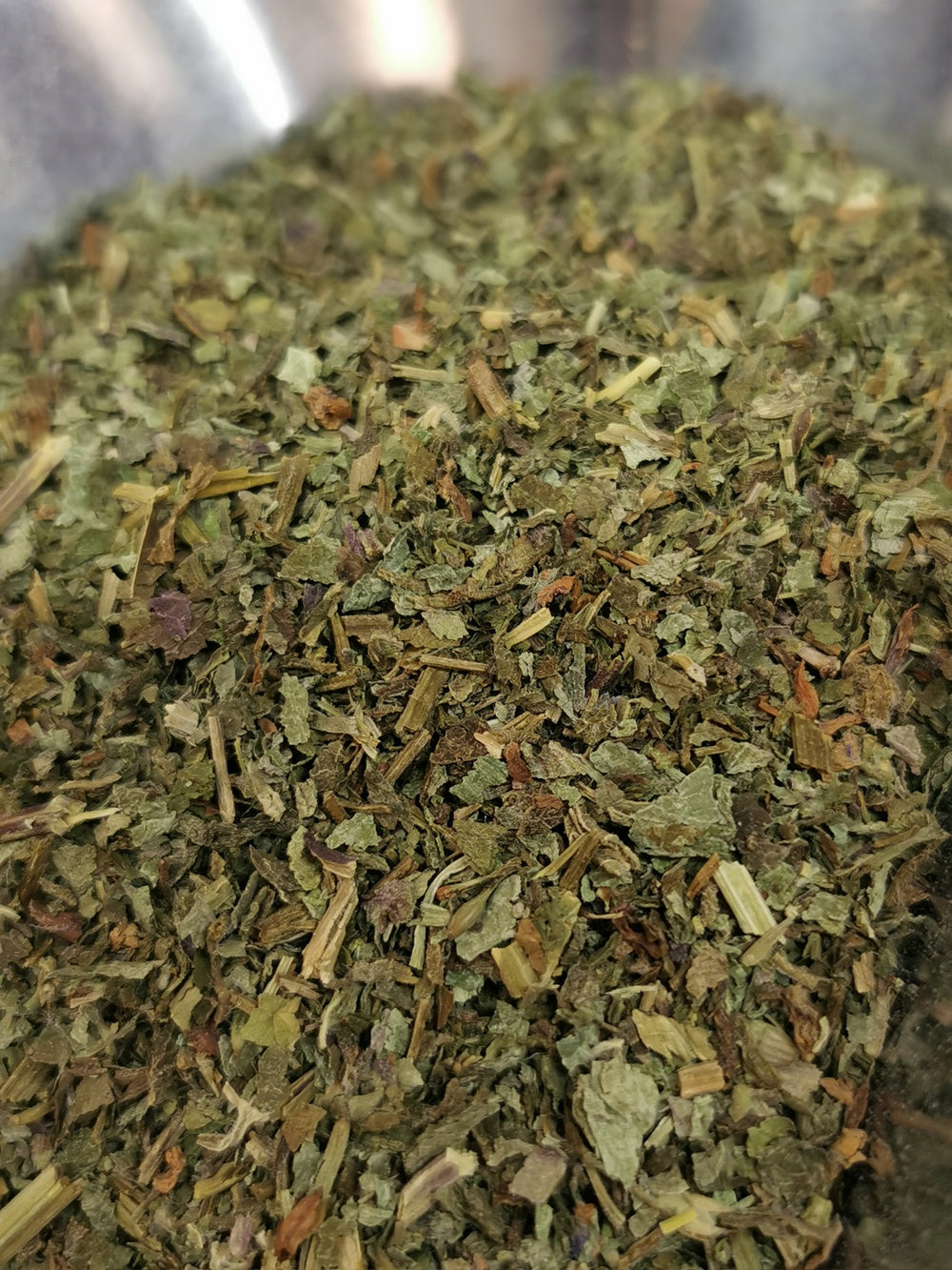 Lierre terrestre BIO