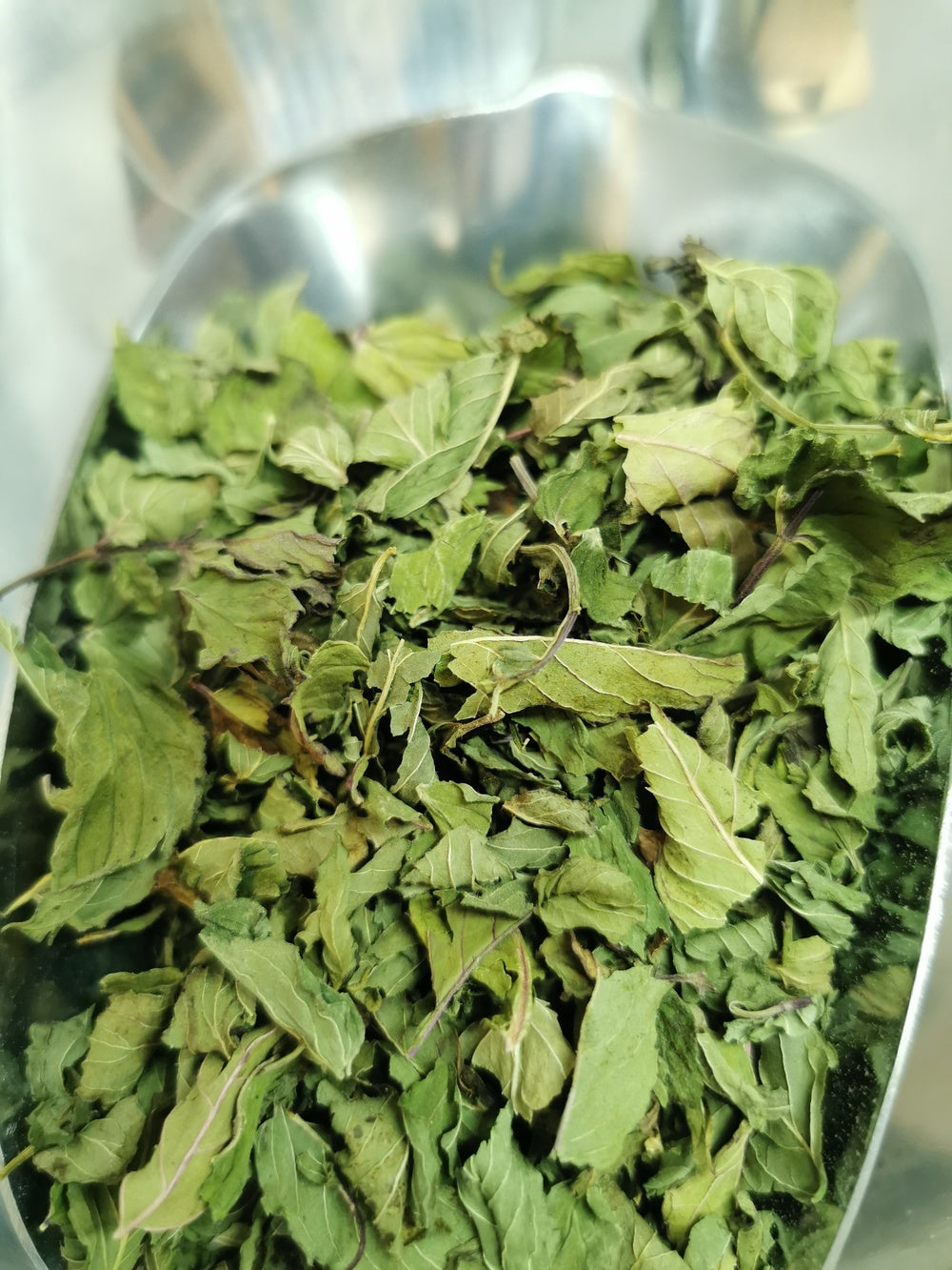Menthe poivrée BIO