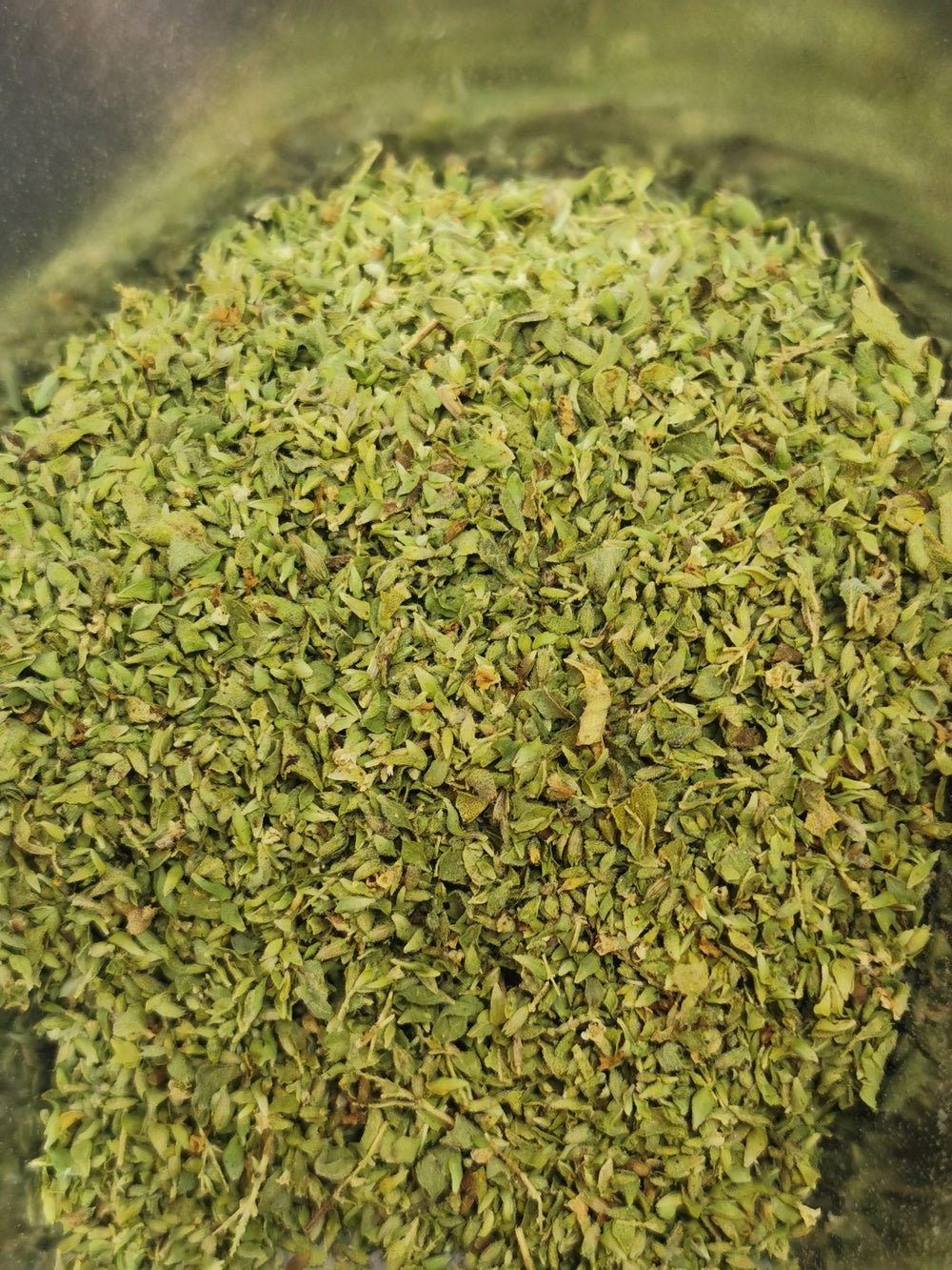 Origan BIO