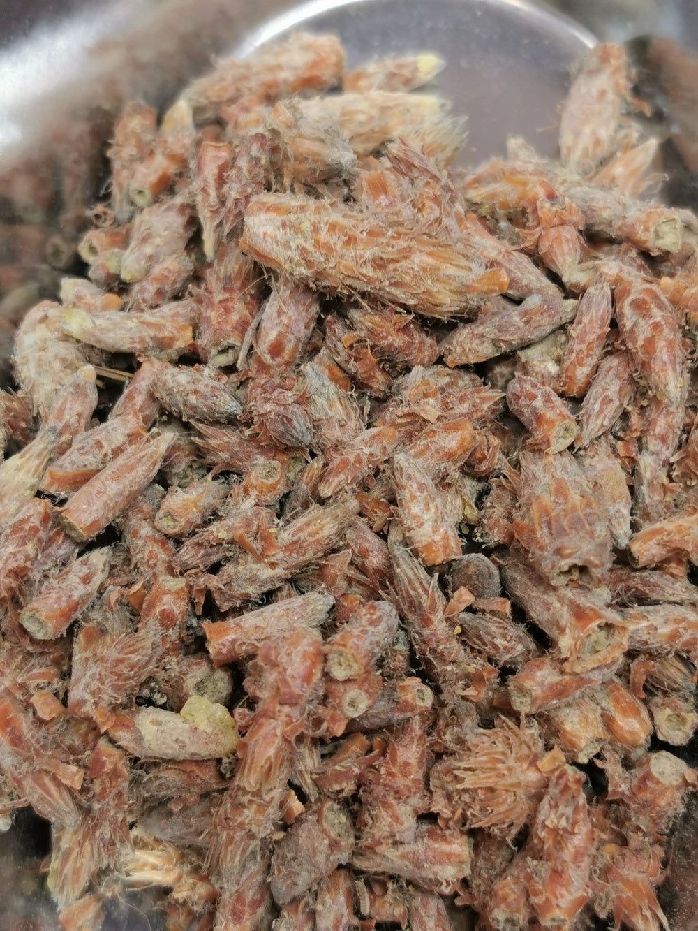 Pin sylvestre BIO