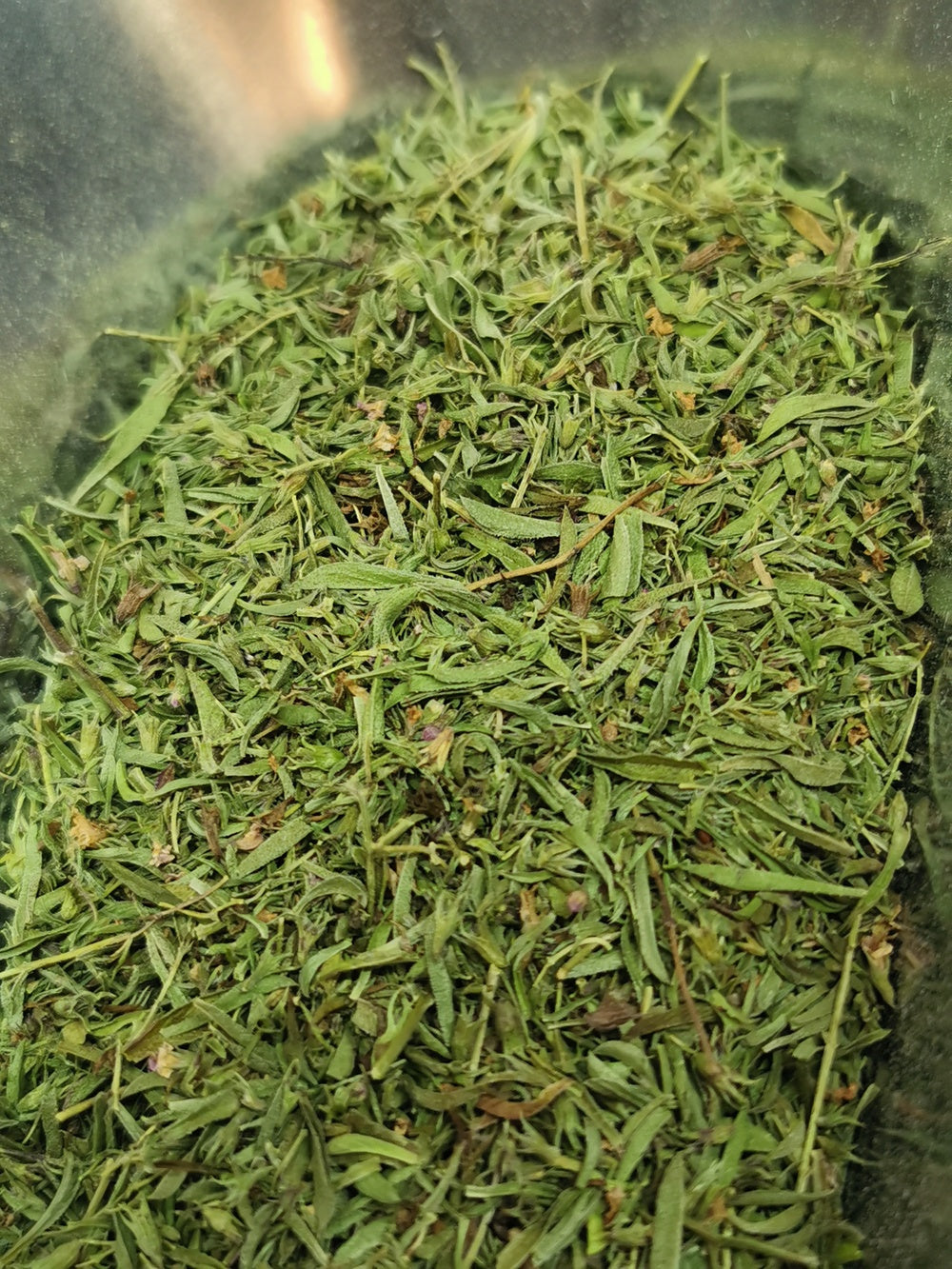 Sarriette des montagnes ou Sarriette des jardins BIO