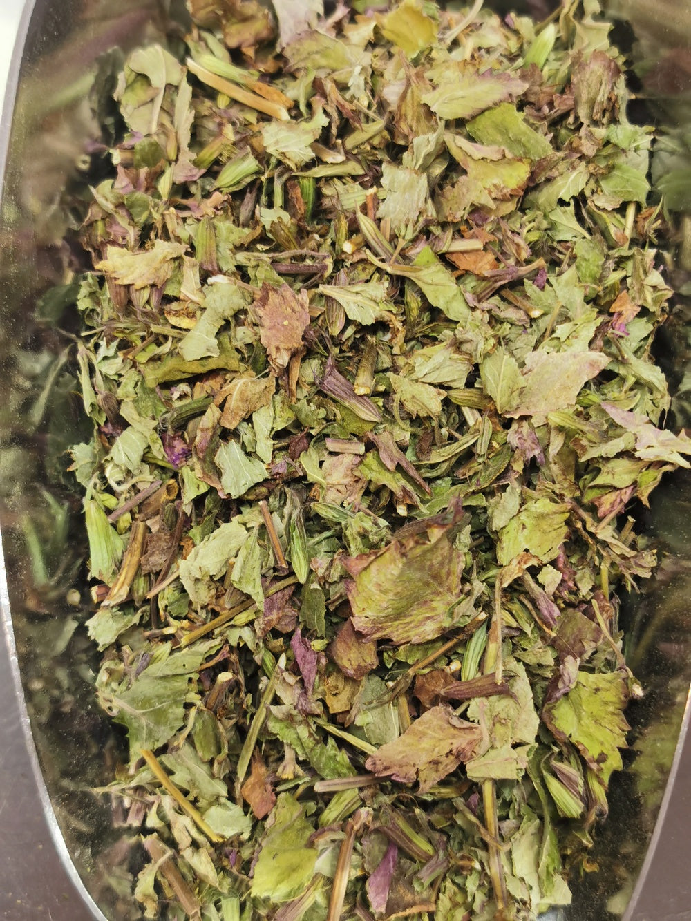 Thé de l'Aubrac BIO