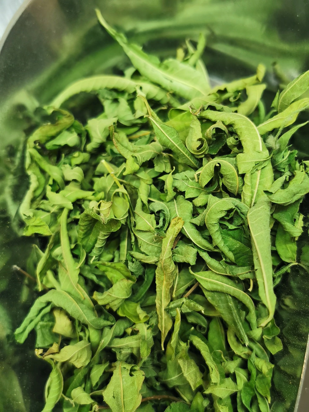 Verveine citronnée BIO