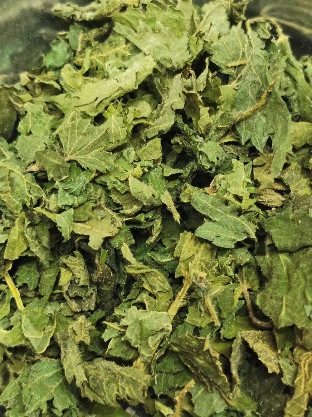 Ortie dioïque BIO (feuilles)