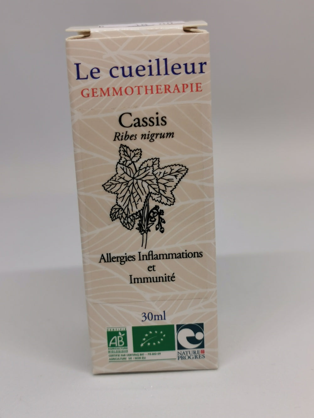 Cassis