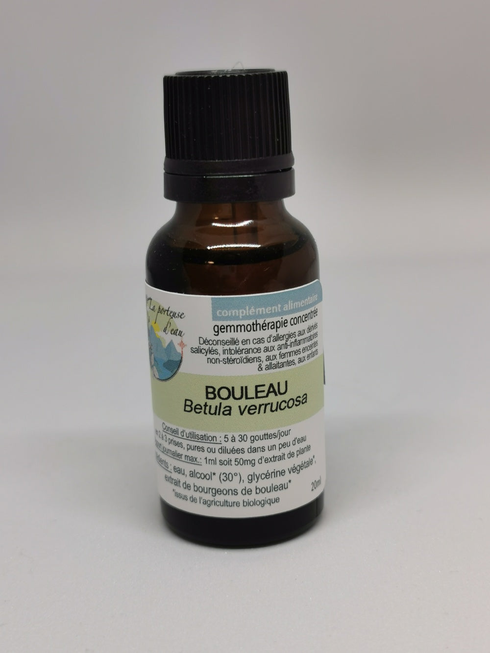 Bouleau verruqueux