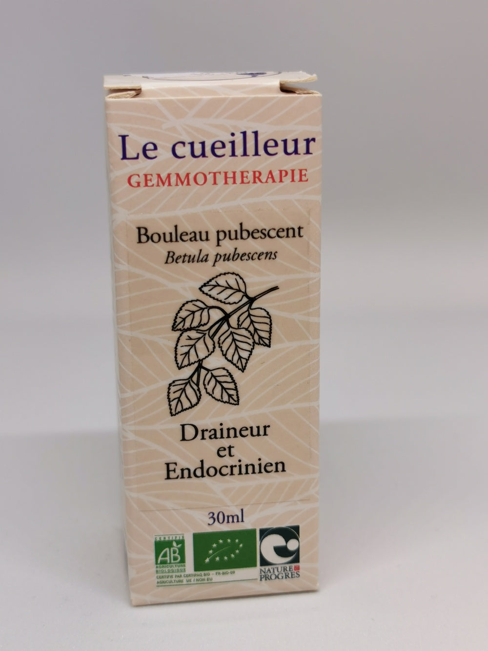 Bouleau pubescent
