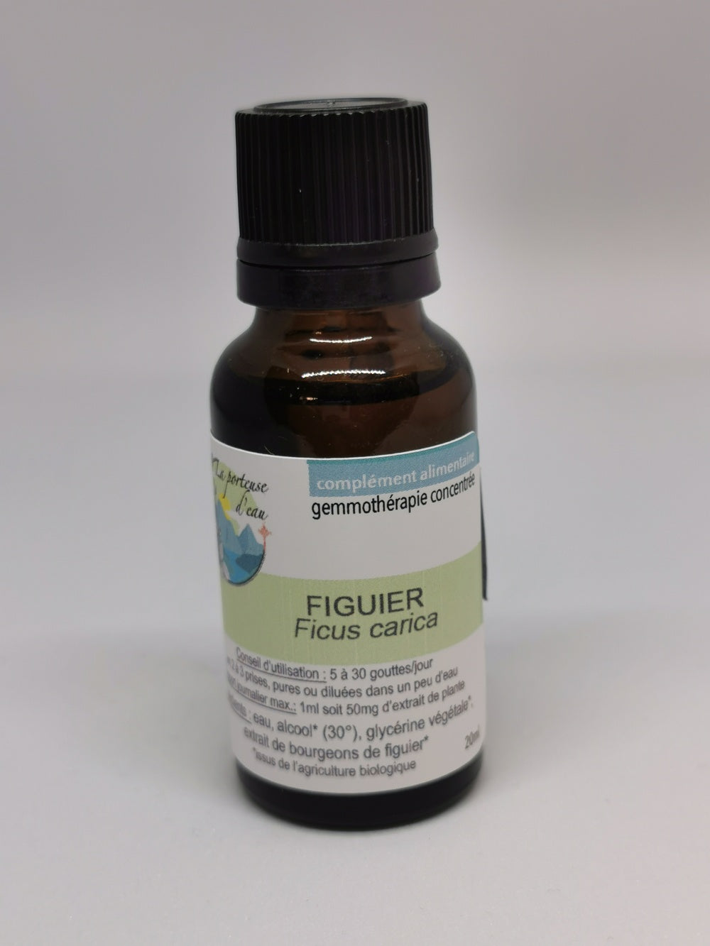 Figuier