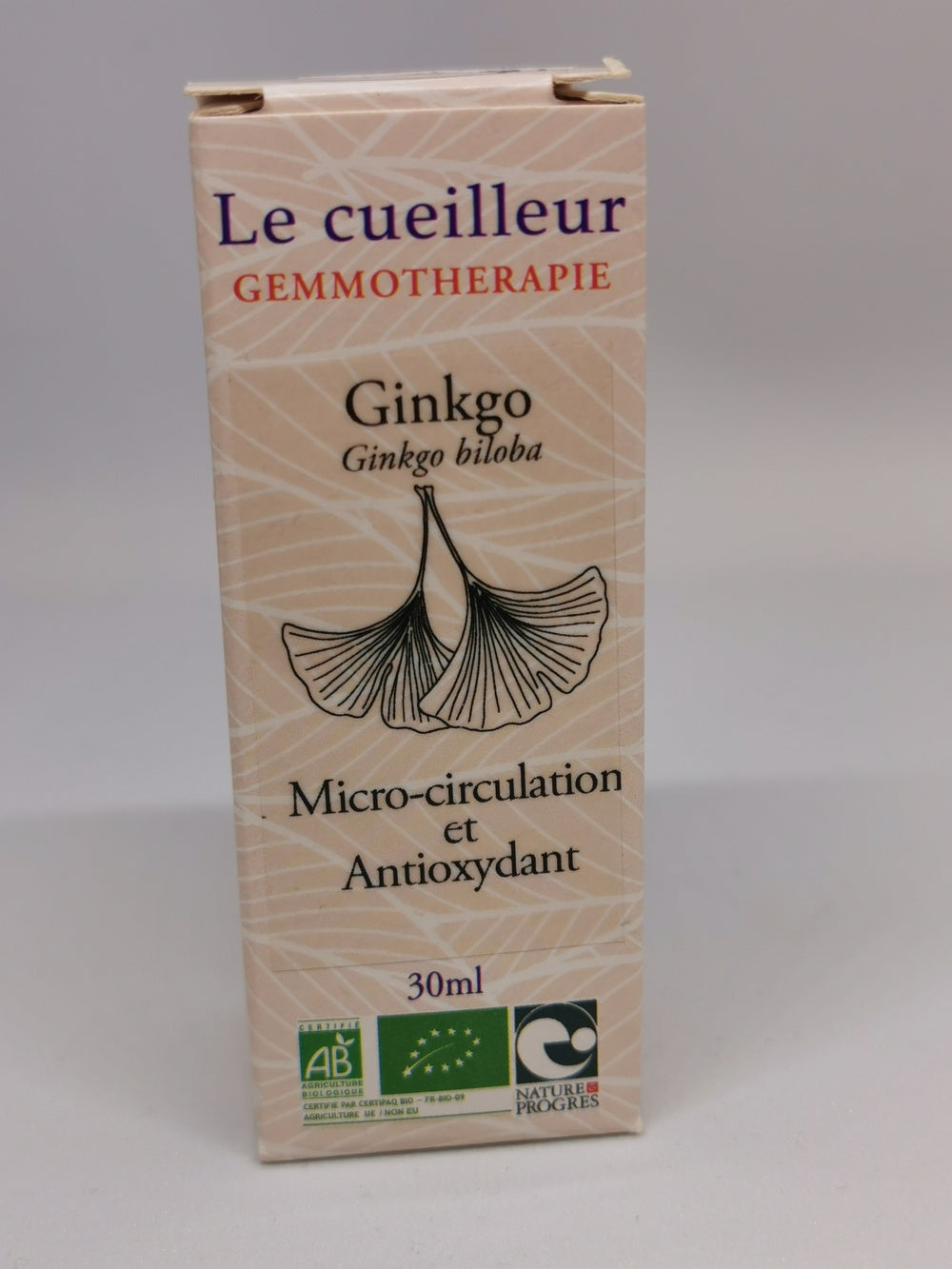 Ginkgo (feuilles vertes)