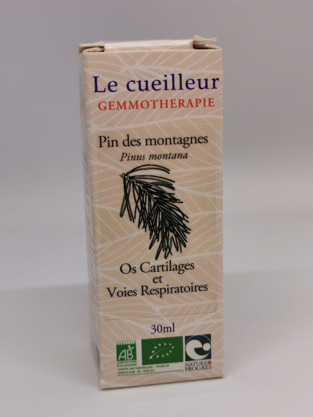 Pin des montagnes (Le Cueilleur)