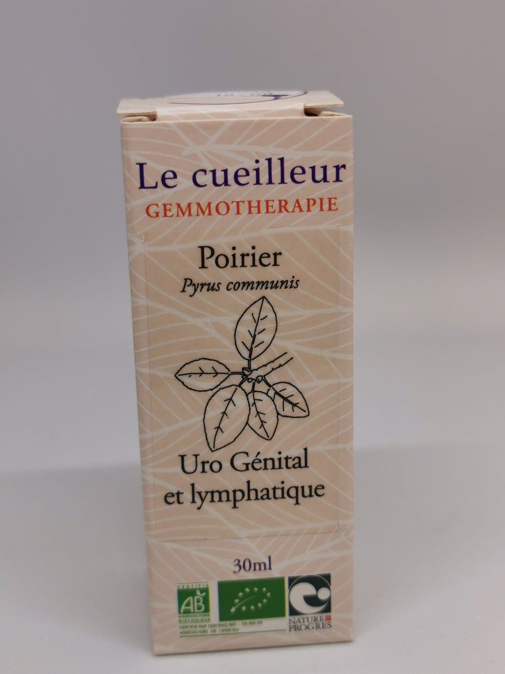 Poirier