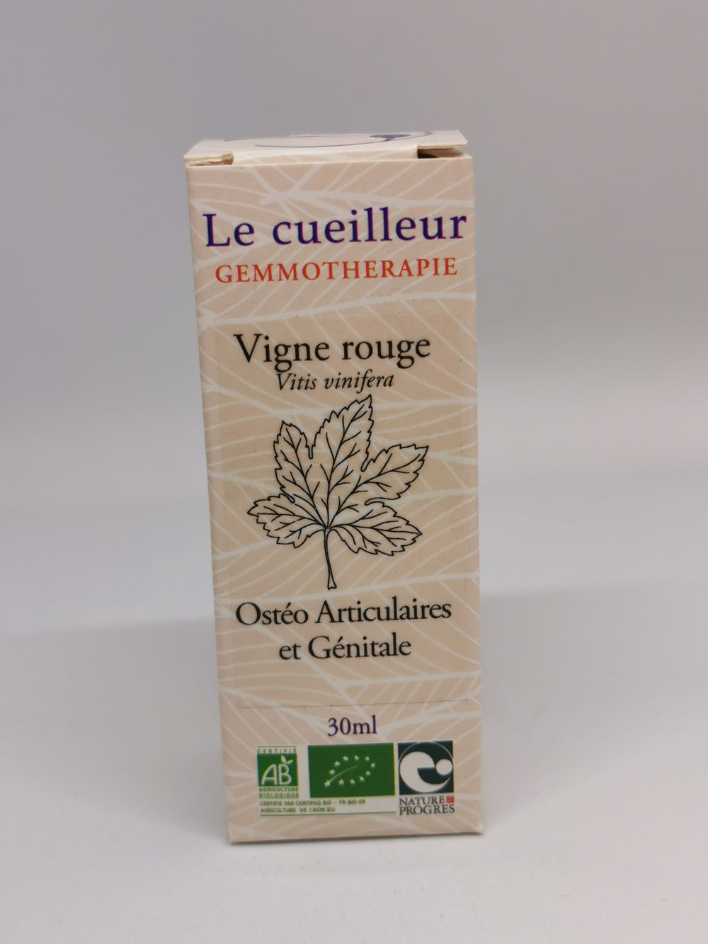 Vigne rouge