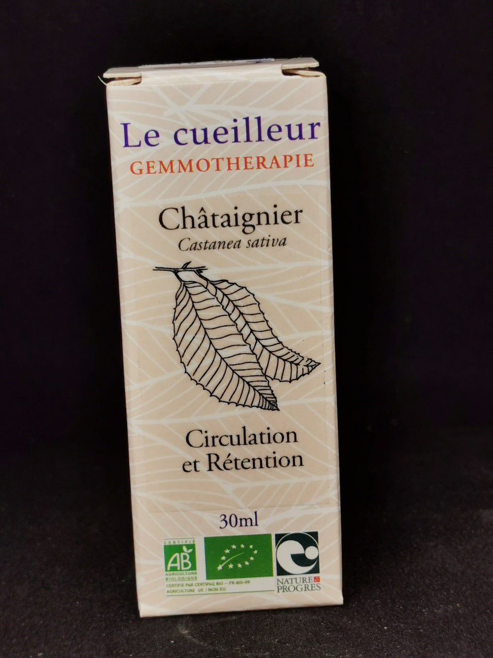 Châtaignier (Le Cueilleur)