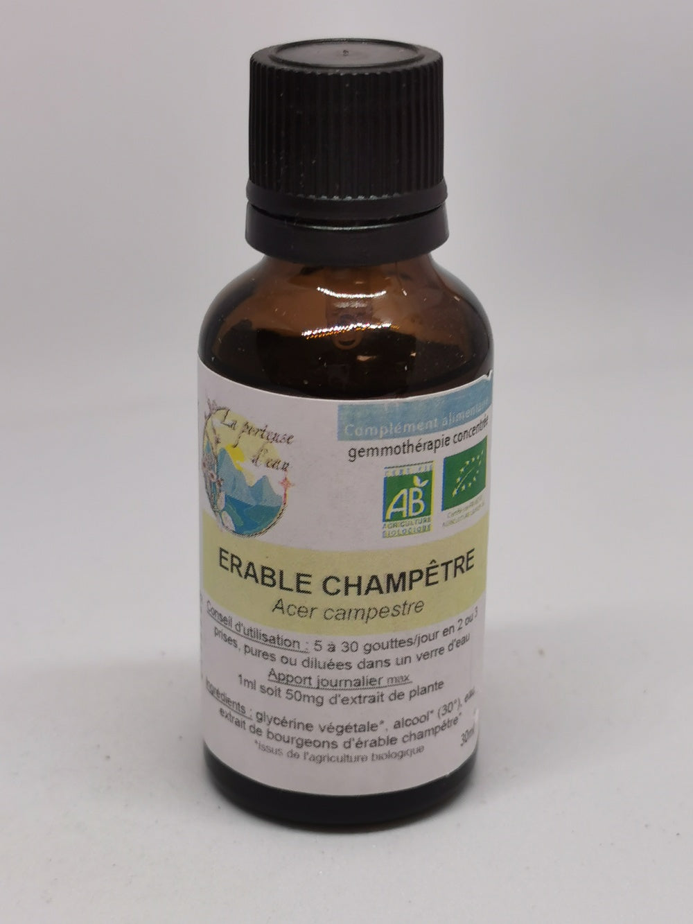 Erable champetre