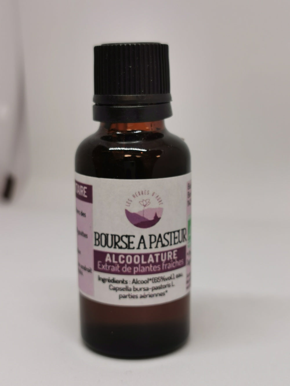 Bourse-à-Pasteur