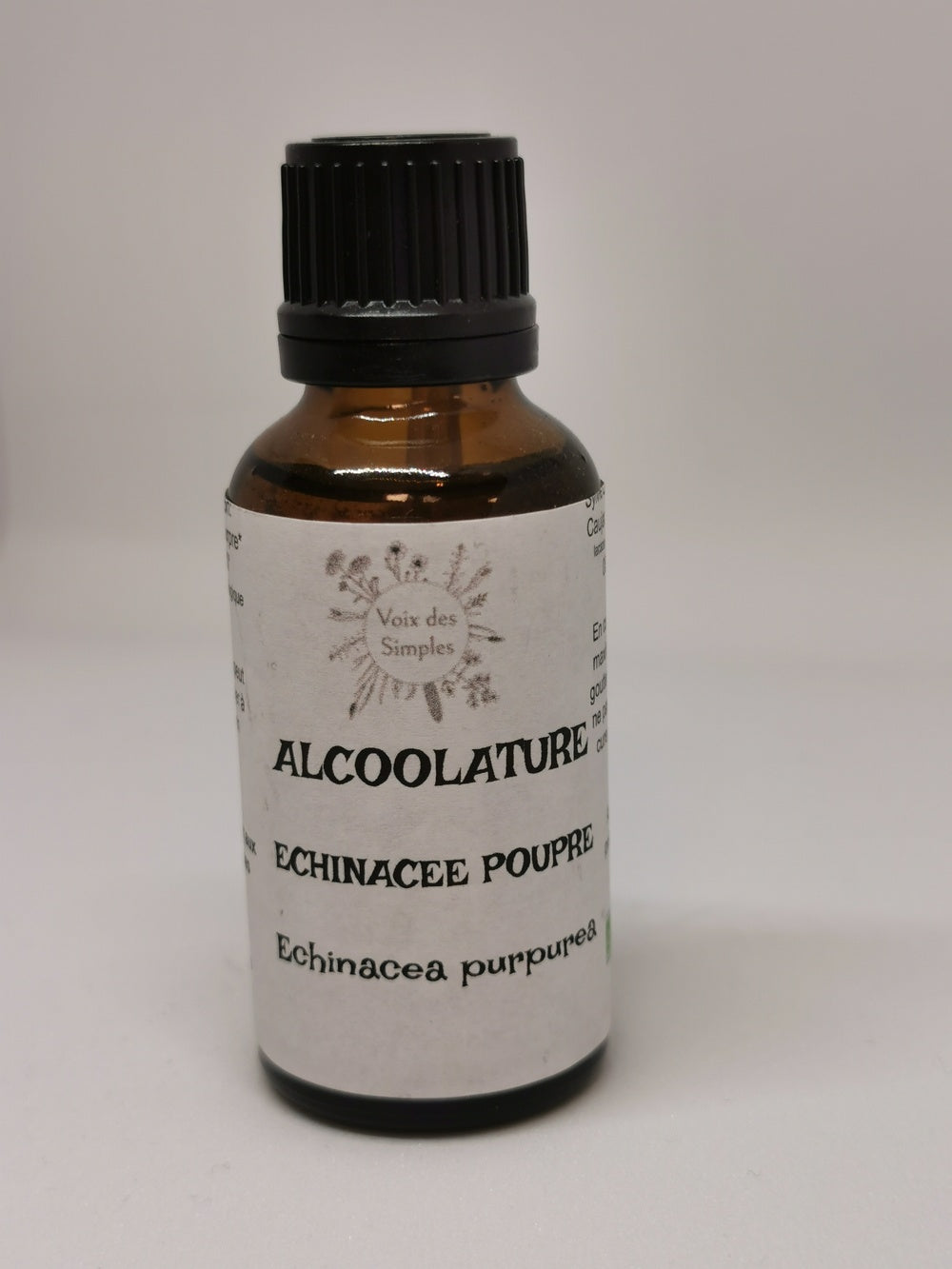 Echinacée pourpre