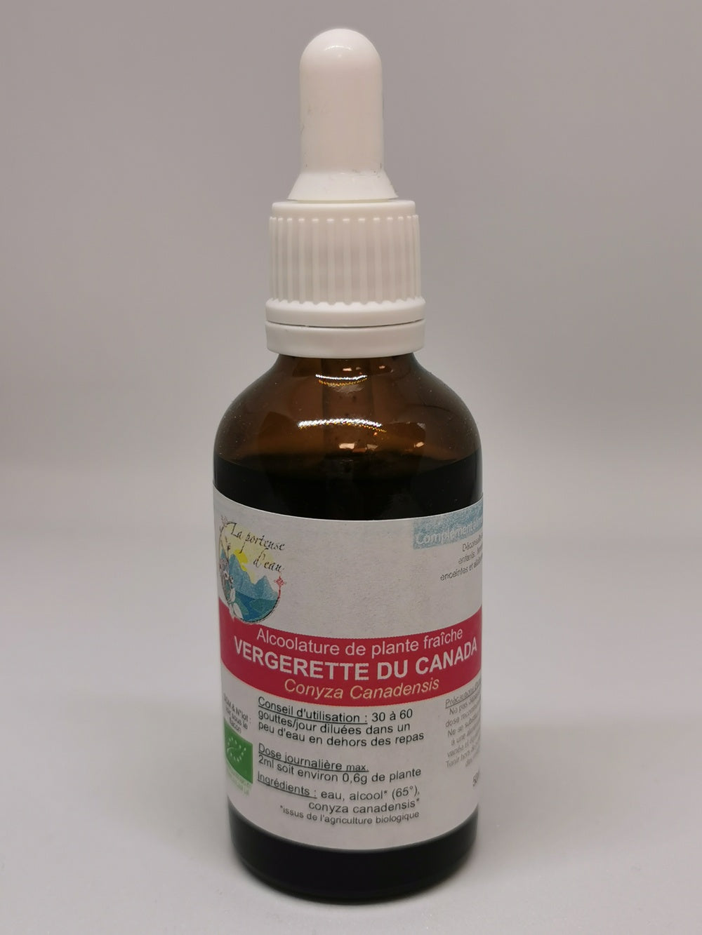 Vergerette du Canada