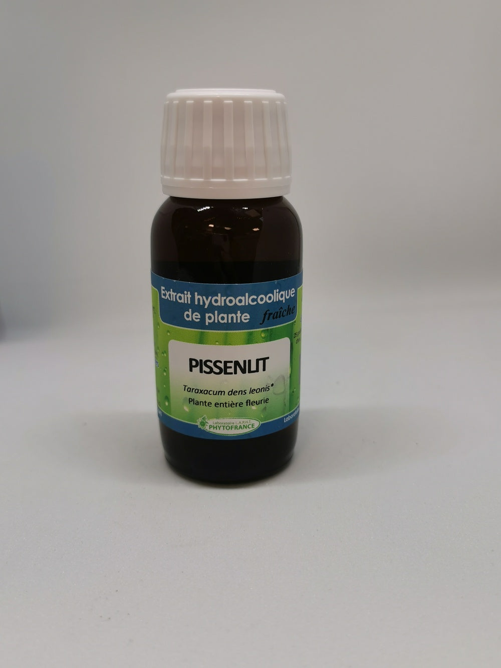Pissenlit
