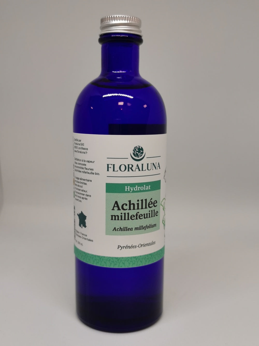 Achillee millefeuille
