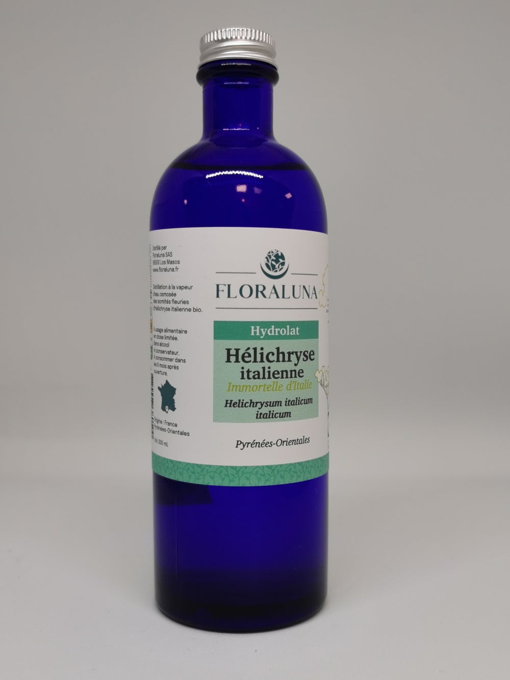 Helichryse italienne