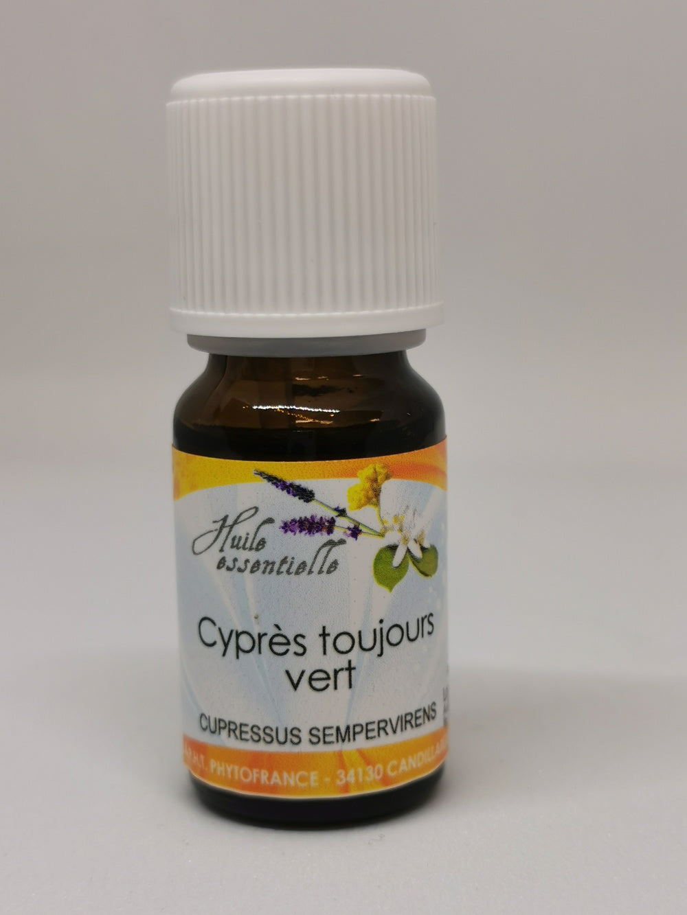 Cypres (rameaux feuillus) BIO