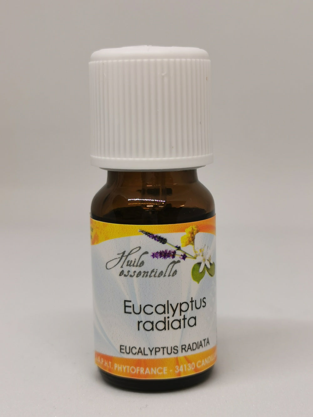 Eucalyptus radié (HE) BIO