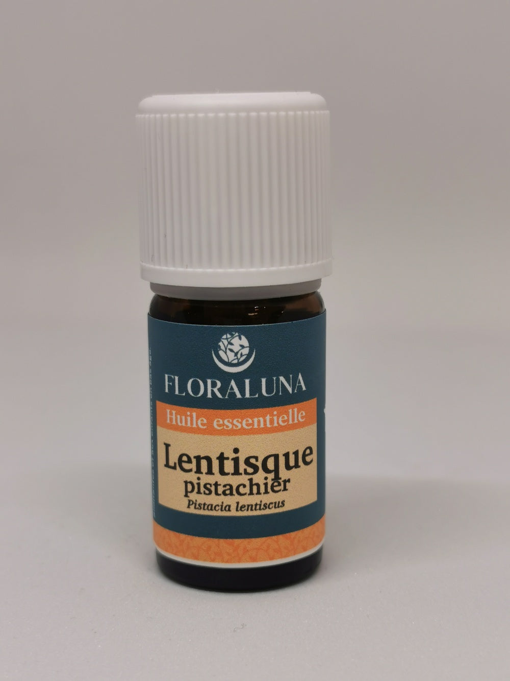 Lentisque pistachier