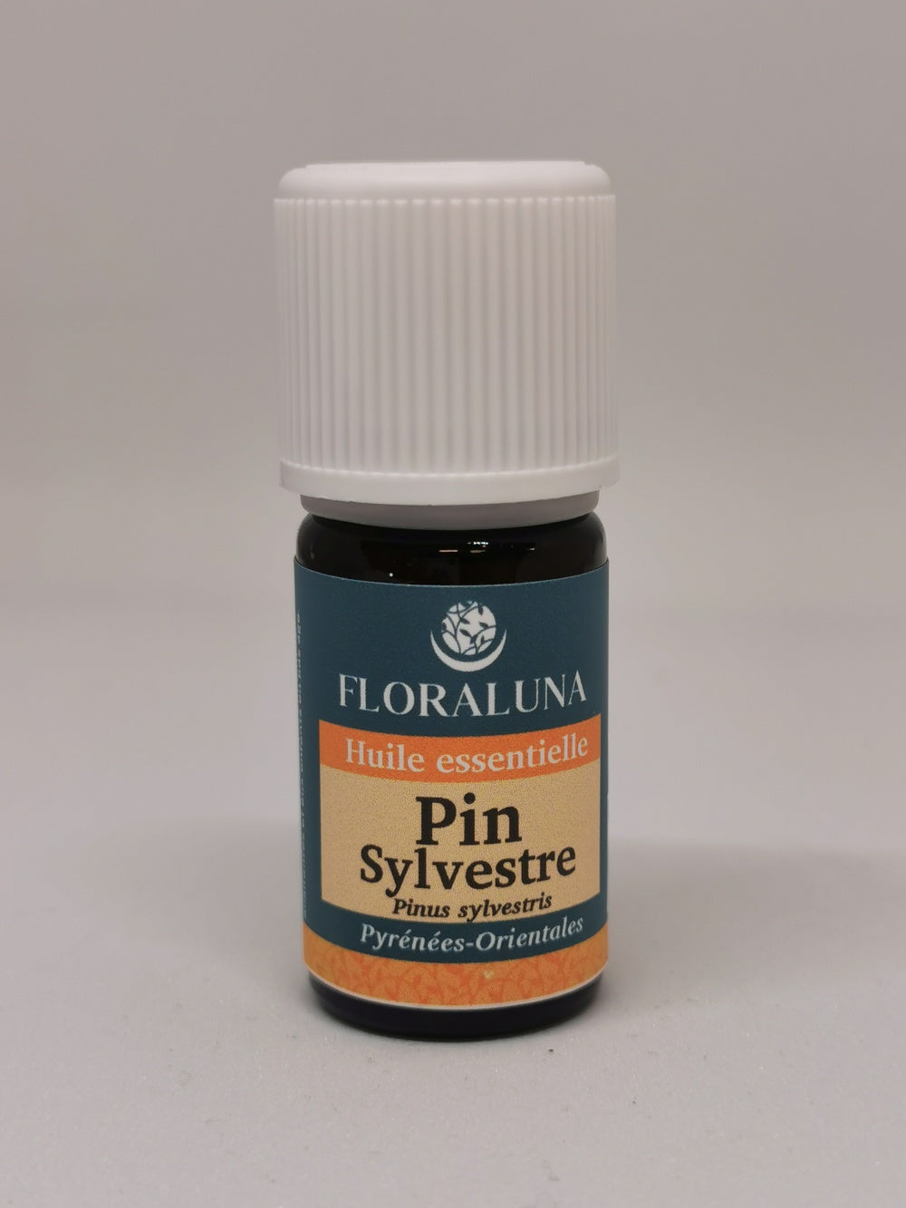 Pin sylvestre