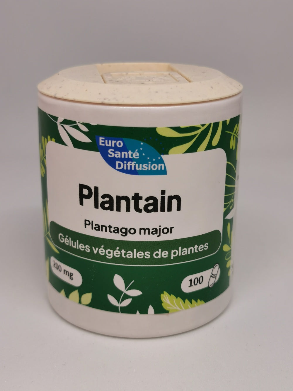 PLANTAIN (majeur) feuille