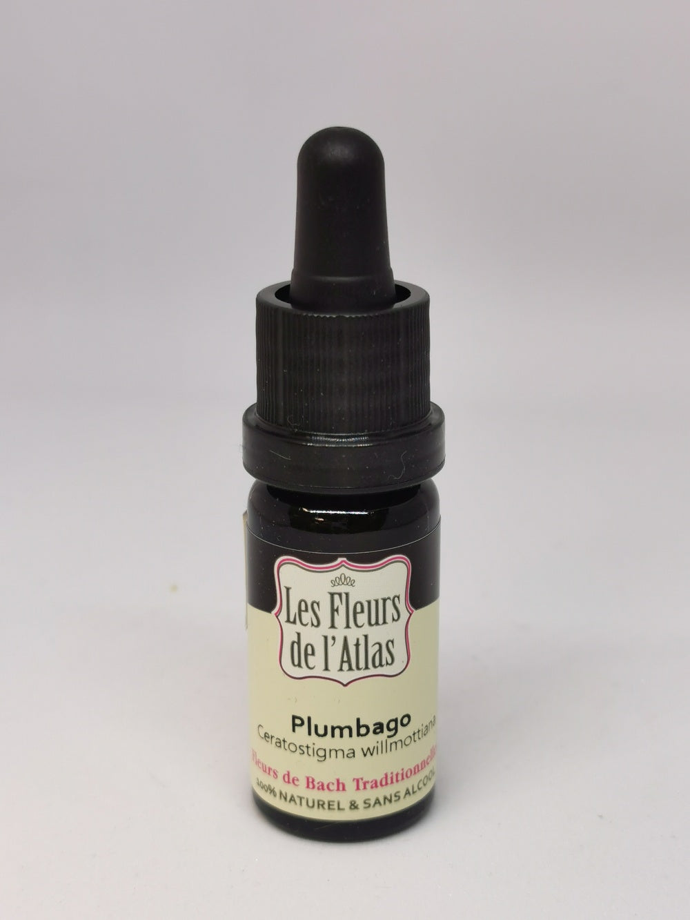 FB PLUMBAGO N°5 BIO