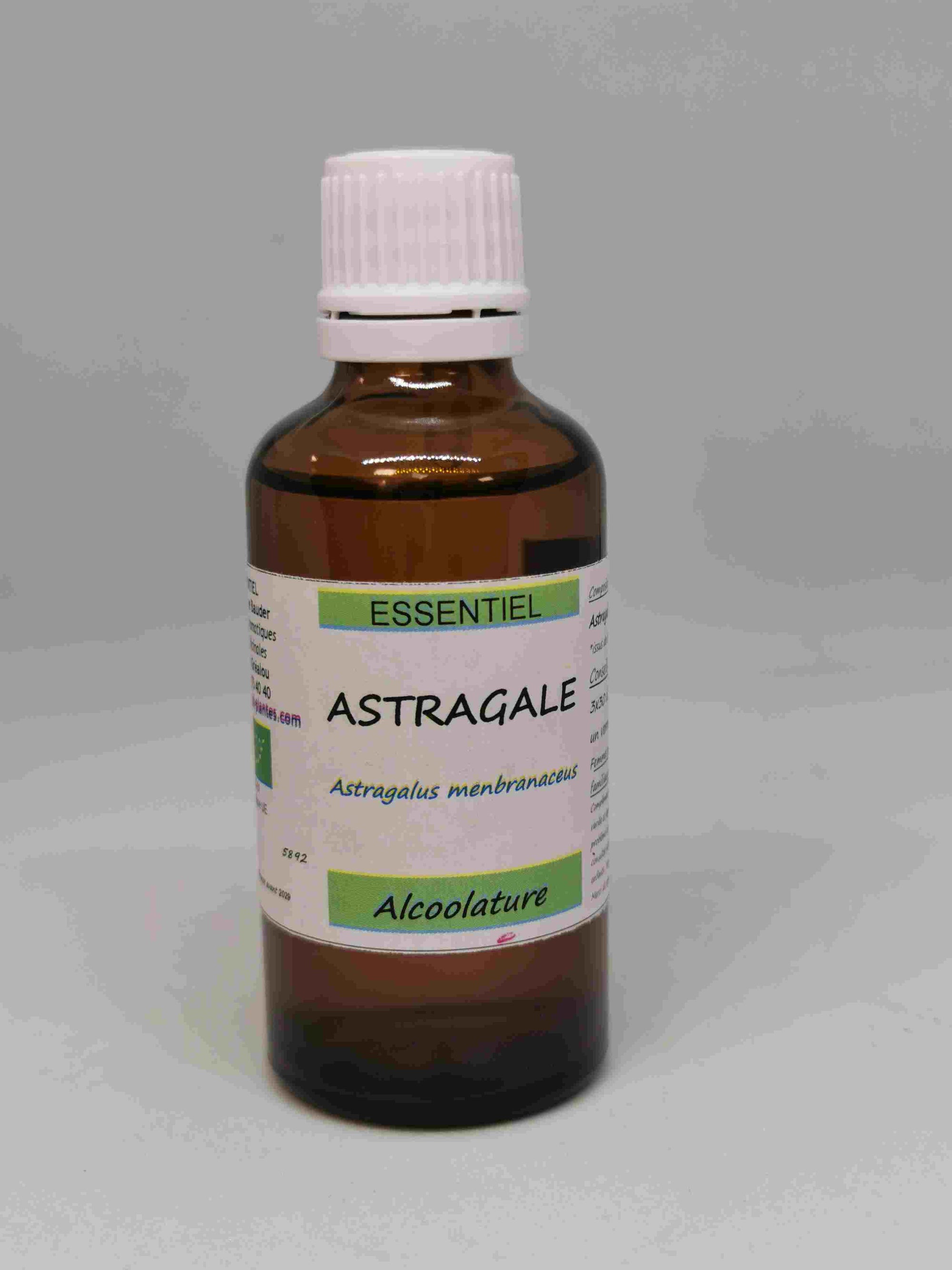 Astragale de Chine