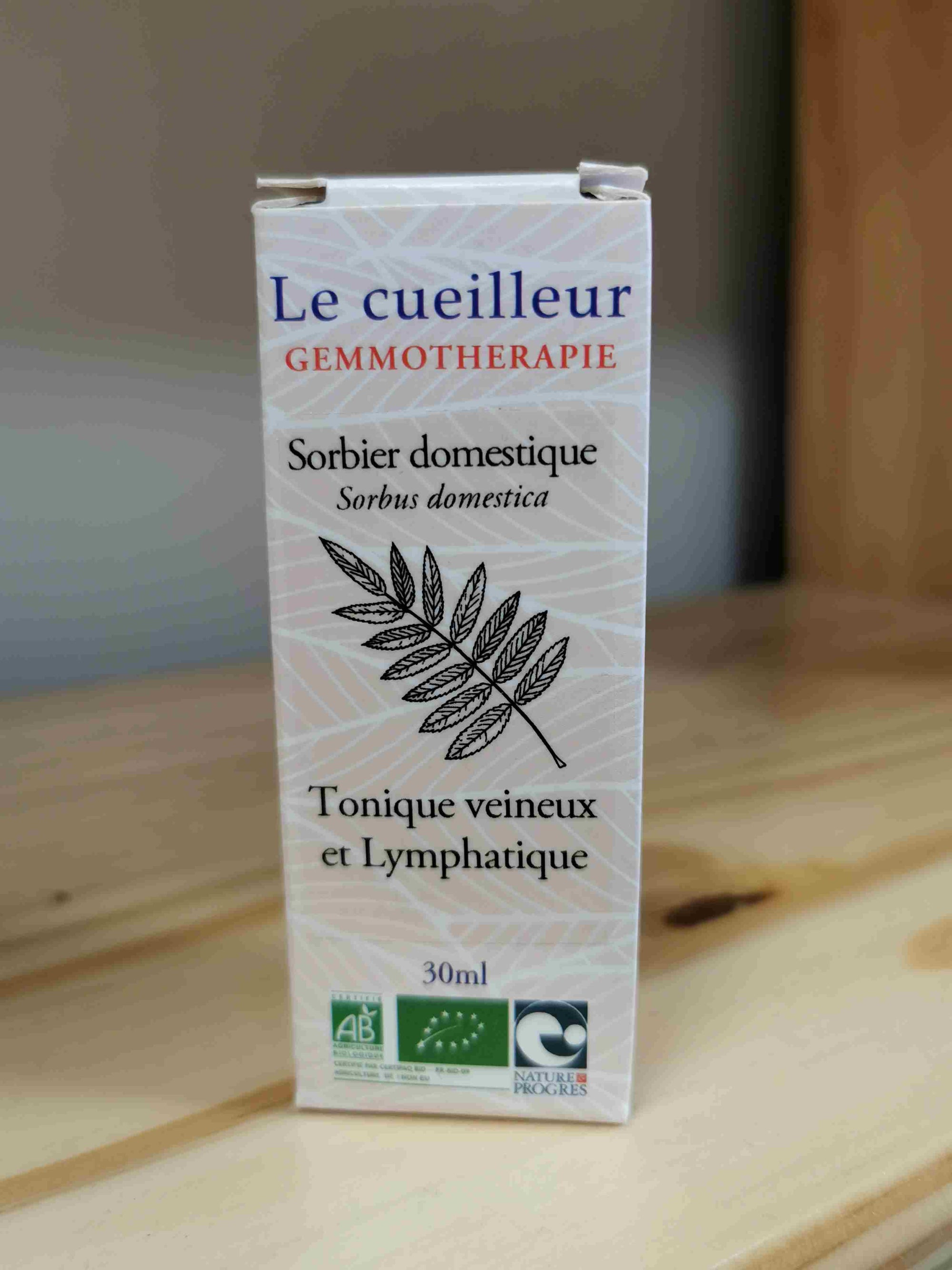 Sorbier domestique