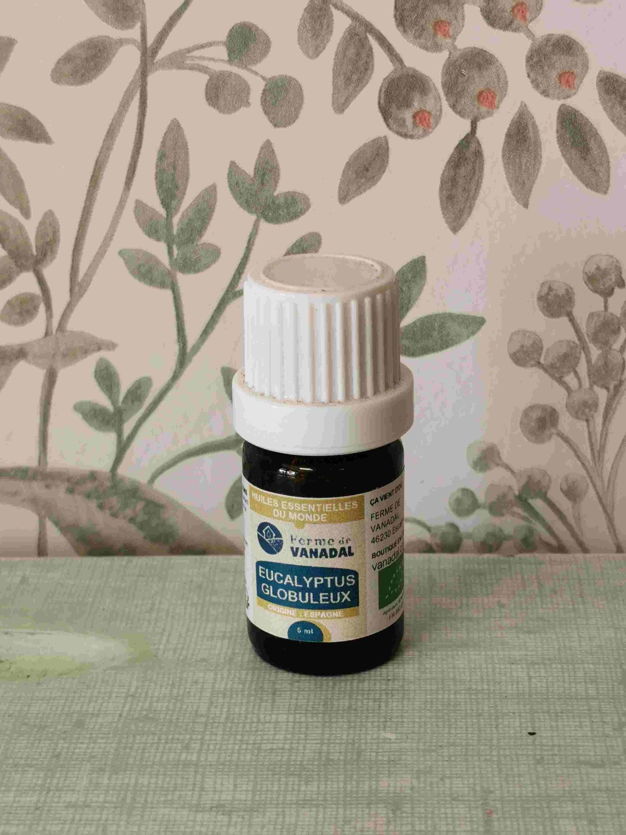 Huile essentielle de Eucalyptus globulus BIO
