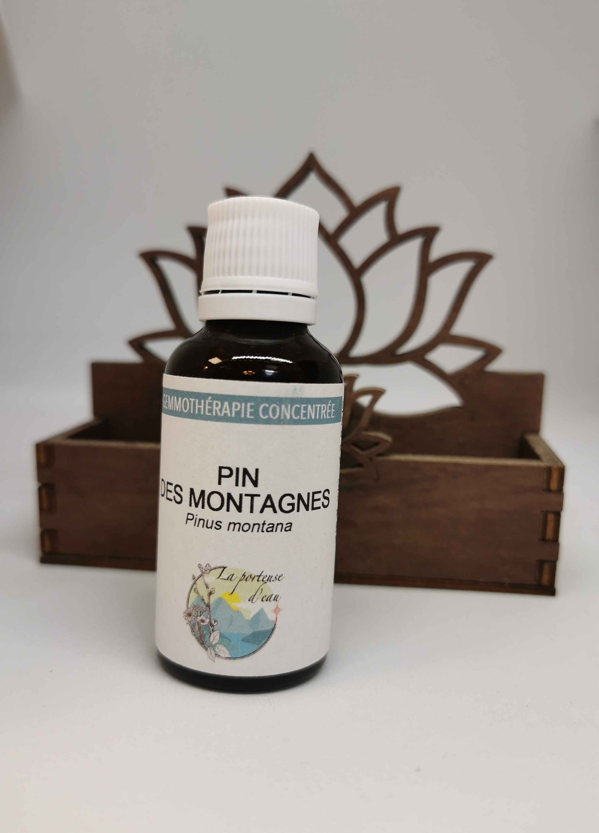 Gemmotherapie / Bourgeons Pin de montagne